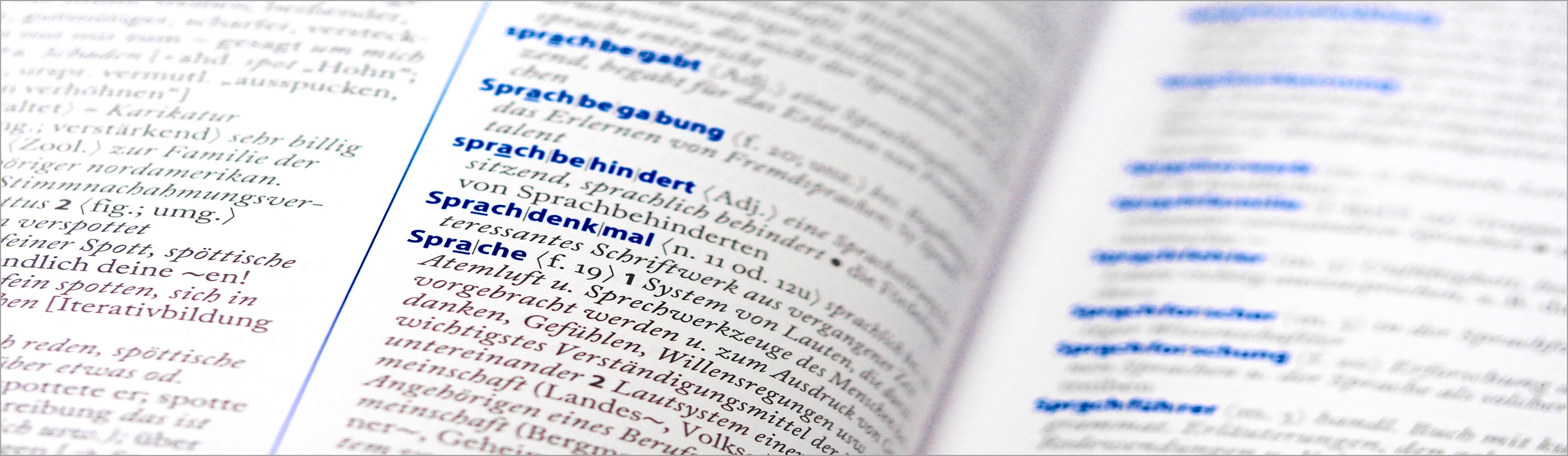 Campe Wörterbuch der deutschen Sprache Wörterbuch der deutschen Sprache. 3, L bis R' - Details | MDZ